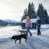 Menschen und Hunde im Schnee in der Region Seefeld. Verschneite Landschaft mit Bergen und Holzhaus.