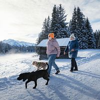Menschen und Hunde im Schnee in der Region Seefeld. Verschneite Landschaft mit Bergen und Holzhaus.